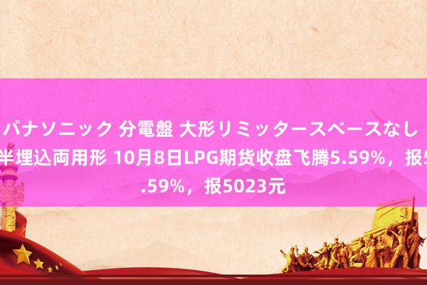 パナソニック 分電盤 大形リミッタースペースなし 露出・半埋込両用形 10月8日LPG期货收盘飞腾5.59%，报5023元