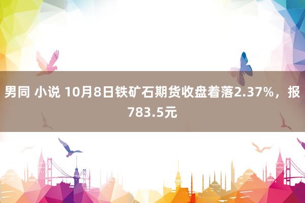 男同 小说 10月8日铁矿石期货收盘着落2.37%，报783.5元