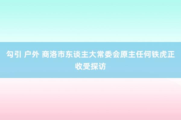 勾引 户外 商洛市东谈主大常委会原主任何铁虎正收受探访
