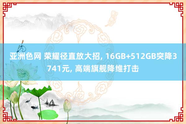 亚洲色网 荣耀径直放大招， 16GB+512GB突降3741元， 高端旗舰降维打击