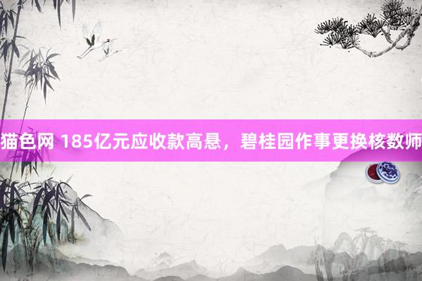猫色网 185亿元应收款高悬，碧桂园作事更换核数师