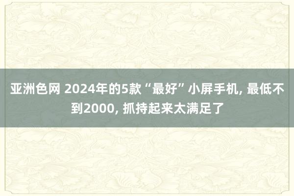 亚洲色网 2024年的5款“最好”小屏手机， 最低不到2000， 抓持起来太满足了