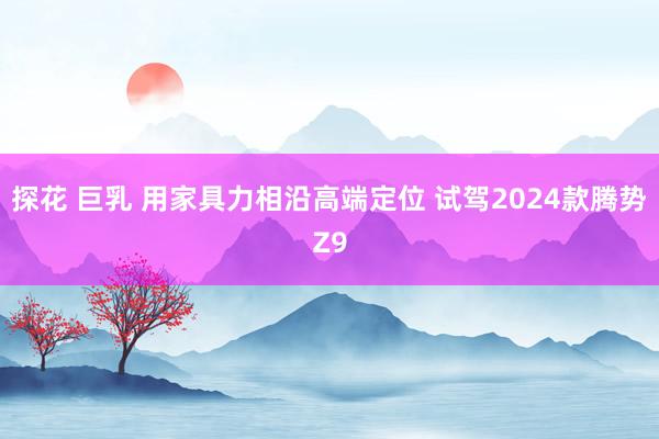 探花 巨乳 用家具力相沿高端定位 试驾2024款腾势Z9