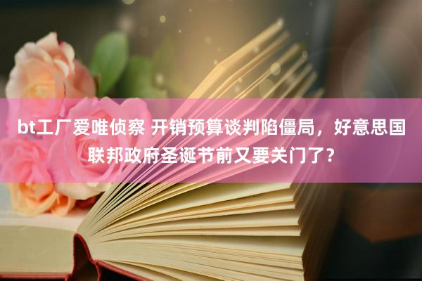 bt工厂爱唯侦察 开销预算谈判陷僵局，好意思国联邦政府圣诞节前又要关门了？