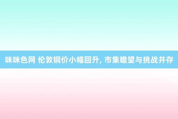 咪咪色网 伦敦铜价小幅回升， 市集瞻望与挑战并存