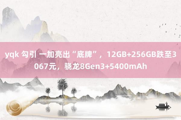 yqk 勾引 一加亮出“底牌”，12GB+256GB跌至3067元，骁龙8Gen3+5400mAh