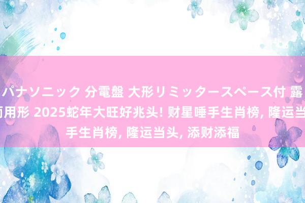 パナソニック 分電盤 大形リミッタースペース付 露出・半埋込両用形 2025蛇年大旺好兆头! 财星唾手生肖榜， 隆运当头， 添财添福