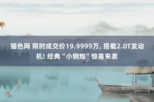 猫色网 限时成交价19.9999万， 搭载2.0T发动机! 经典“小钢炮”惊喜来袭