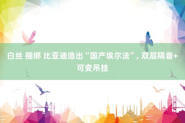 白丝 捆绑 比亚迪造出“国产埃尔法”， 双层隔音+可变吊挂