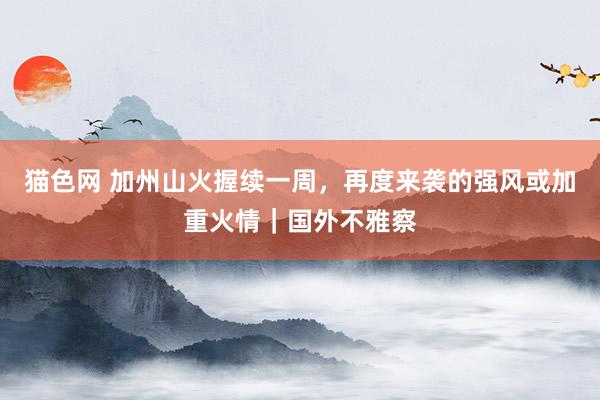 猫色网 加州山火握续一周，再度来袭的强风或加重火情｜国外不雅察