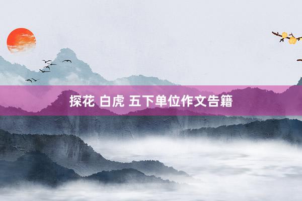 探花 白虎 五下单位作文告籍
