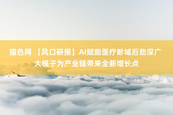 猫色网 【风口研报】AI赋能医疗畛域后劲深广 大模子为产业链带来全新增长点