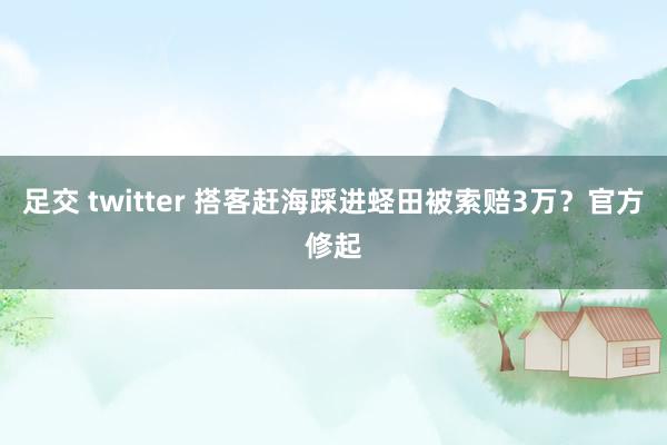 足交 twitter 搭客赶海踩进蛏田被索赔3万？官方修起