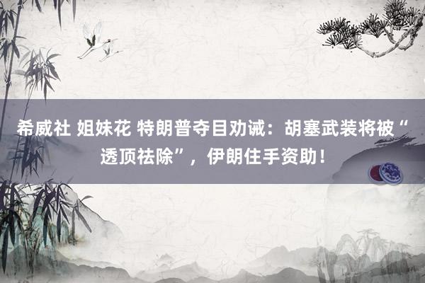 希威社 姐妹花 特朗普夺目劝诫：胡塞武装将被“透顶祛除”，伊朗住手资助！