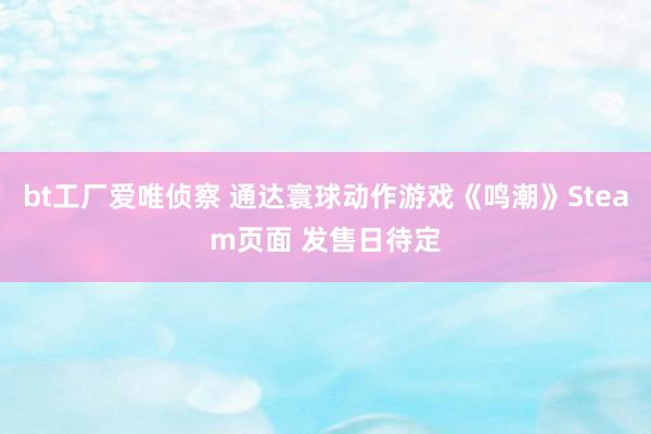 bt工厂爱唯侦察 通达寰球动作游戏《鸣潮》Steam页面 发售日待定