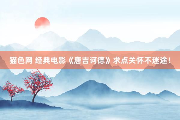猫色网 经典电影《唐吉诃德》求点关怀不迷途！