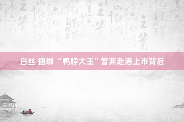 白丝 捆绑 “鸭脖大王”暂弃赴港上市背后