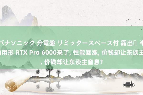 パナソニック 分電盤 リミッタースペース付 露出・半埋込両用形 RTX Pro 6000来了， 性能暴涨， 价钱却让东谈主窒息?