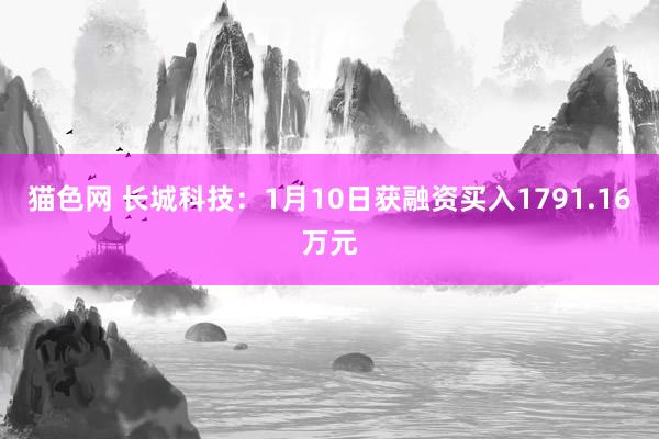 猫色网 长城科技：1月10日获融资买入1791.16万元