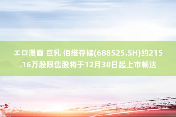 エロ漫画 巨乳 佰维存储(688525.SH)约215.16万股限售股将于12月30日起上市畅达