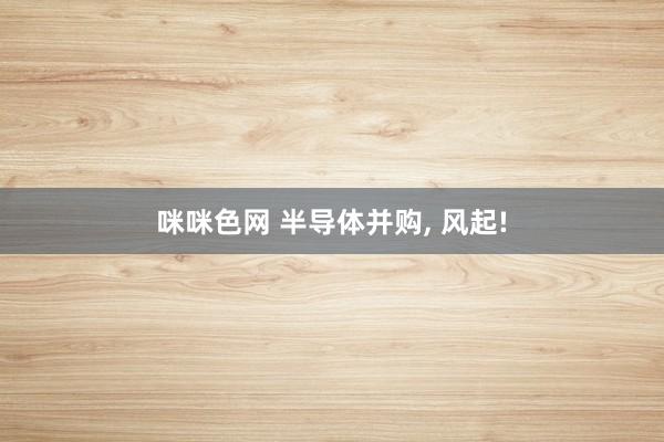 咪咪色网 半导体并购， 风起!