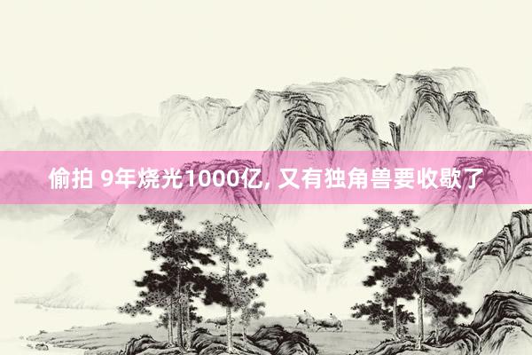 偷拍 9年烧光1000亿， 又有独角兽要收歇了