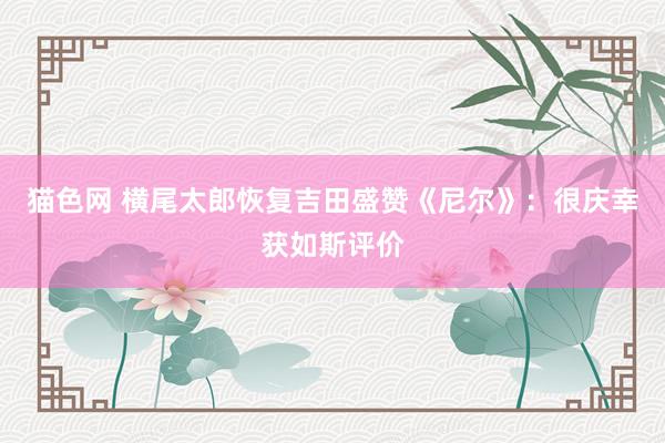 猫色网 横尾太郎恢复吉田盛赞《尼尔》：很庆幸获如斯评价