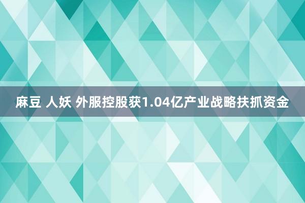 麻豆 人妖 外服控股获1.04亿产业战略扶抓资金