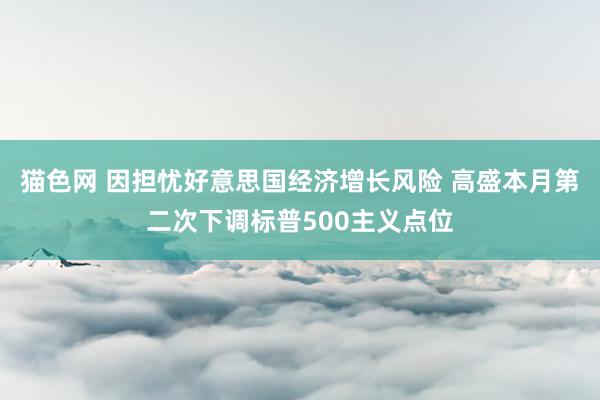 猫色网 因担忧好意思国经济增长风险 高盛本月第二次下调标普500主义点位