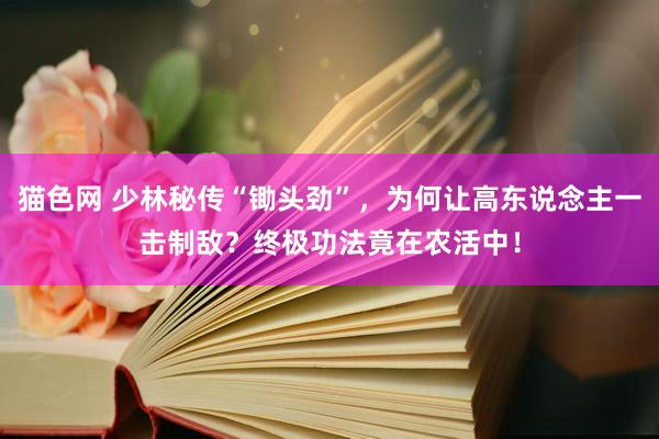 猫色网 少林秘传“锄头劲”，为何让高东说念主一击制敌？终极功法竟在农活中！
