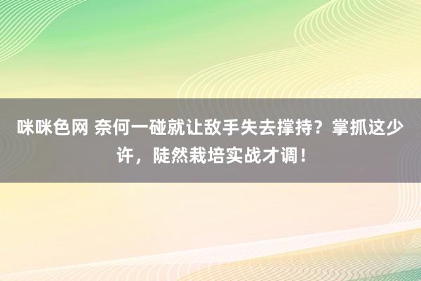 咪咪色网 奈何一碰就让敌手失去撑持？掌抓这少许，陡然栽培实战才调！