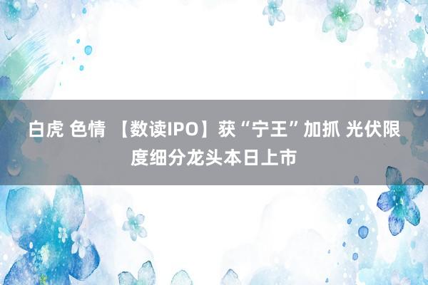 白虎 色情 【数读IPO】获“宁王”加抓 光伏限度细分龙头本日上市