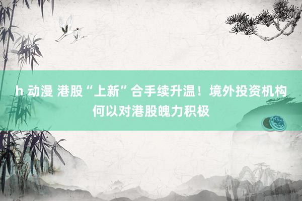 h 动漫 港股“上新”合手续升温！境外投资机构何以对港股魄力积极