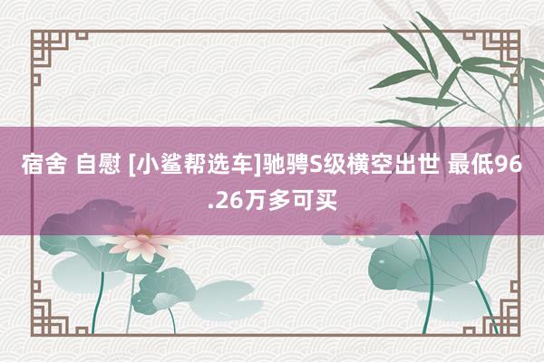 宿舍 自慰 [小鲨帮选车]驰骋S级横空出世 最低96.26万多可买