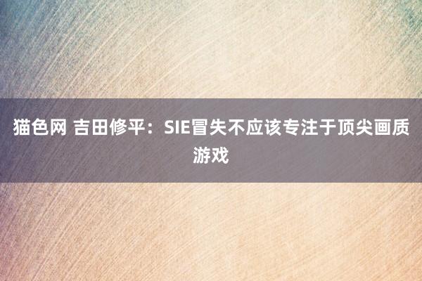 猫色网 吉田修平：SIE冒失不应该专注于顶尖画质游戏