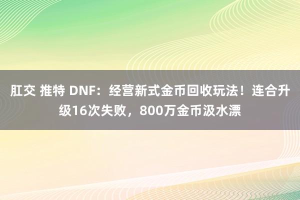 肛交 推特 DNF：经营新式金币回收玩法！连合升级16次失败，800万金币汲水漂