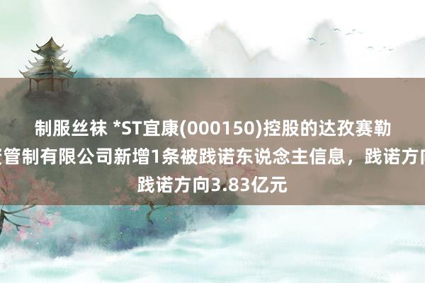 制服丝袜 *ST宜康(000150)控股的达孜赛勒康医疗投资管制有限公司新增1条被践诺东说念主信息，践诺方向3.83亿元