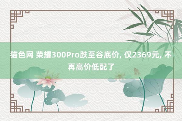猫色网 荣耀300Pro跌至谷底价， 仅2369元， 不再高价低配了