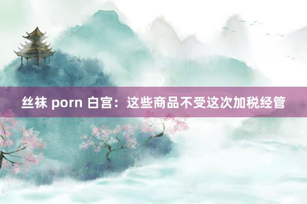 丝袜 porn 白宫：这些商品不受这次加税经管