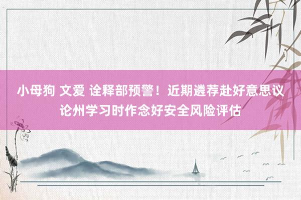 小母狗 文爱 诠释部预警！近期遴荐赴好意思议论州学习时作念好安全风险评估