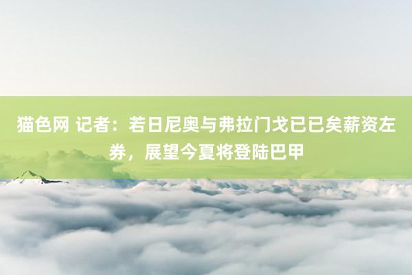 猫色网 记者：若日尼奥与弗拉门戈已已矣薪资左券，展望今夏将登陆巴甲