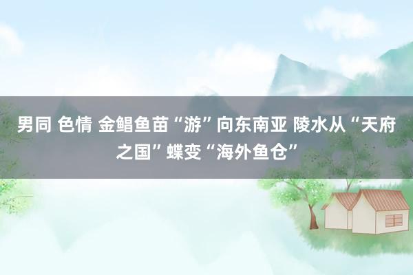 男同 色情 金鲳鱼苗“游”向东南亚 陵水从“天府之国”蝶变“海外鱼仓”