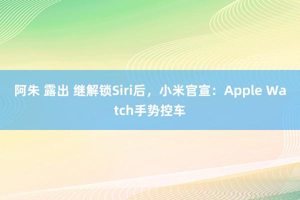 阿朱 露出 继解锁Siri后，小米官宣：Apple Watch手势控车