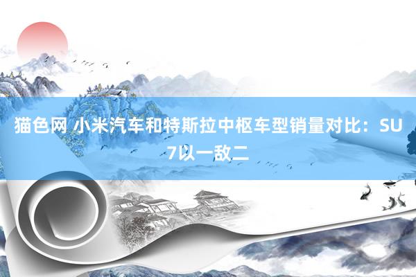 猫色网 小米汽车和特斯拉中枢车型销量对比：SU7以一敌二
