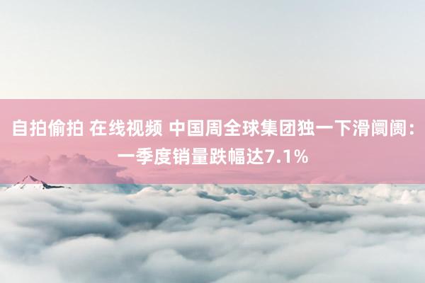 自拍偷拍 在线视频 中国周全球集团独一下滑阛阓：一季度销量跌幅达7.1%