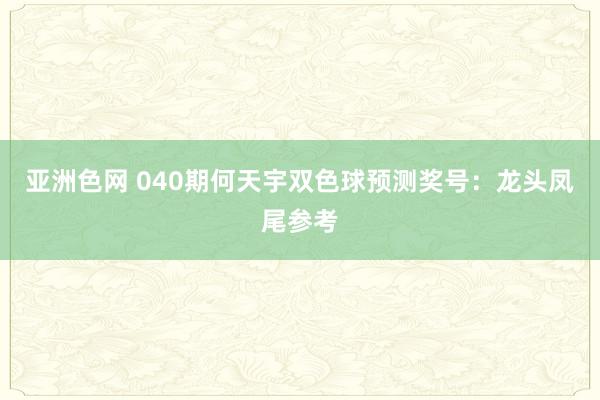 亚洲色网 040期何天宇双色球预测奖号：龙头凤尾参考