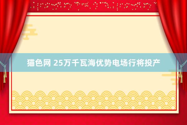 猫色网 25万千瓦海优势电场行将投产