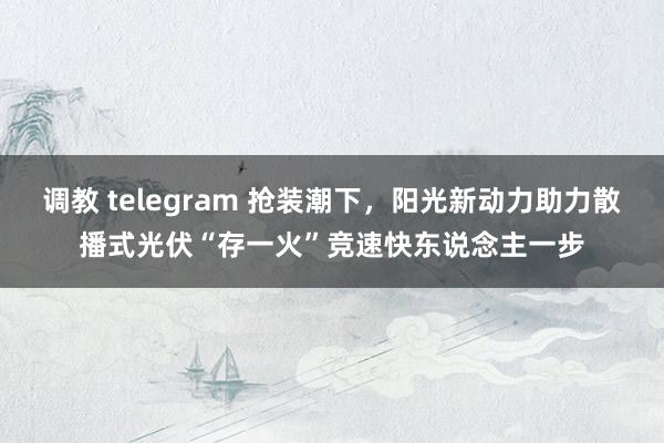 调教 telegram 抢装潮下，阳光新动力助力散播式光伏“存一火”竞速快东说念主一步