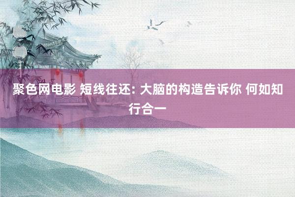 聚色网电影 短线往还: 大脑的构造告诉你 何如知行合一