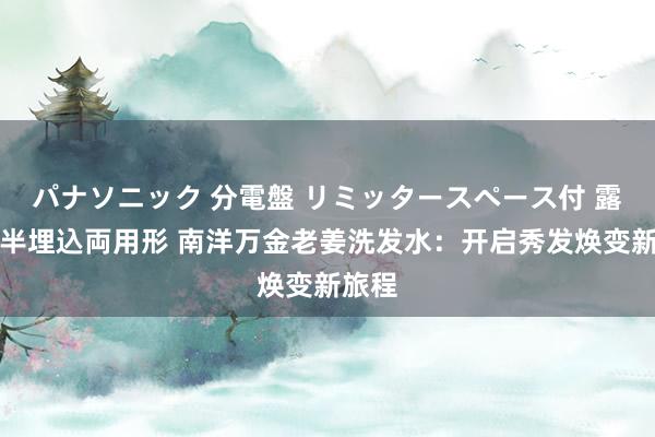 パナソニック 分電盤 リミッタースペース付 露出・半埋込両用形 南洋万金老姜洗发水：开启秀发焕变新旅程
